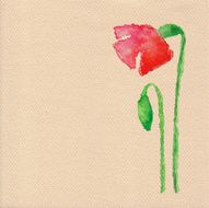 Vector watercolor poppy flower
