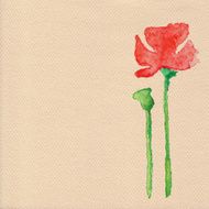 Vector watercolor poppy flower N2