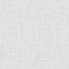 Paper texture background N5