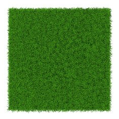 Green grass N12