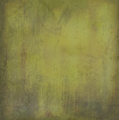 Grunge vector background N28