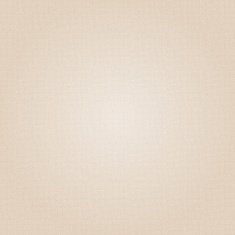 Canvas texture N8