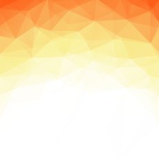 Abstract geometric polygonal background N16