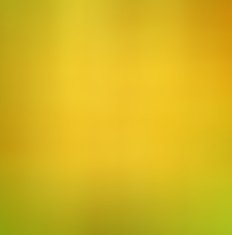 Abstract gold background N11
