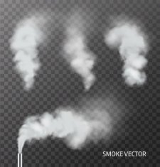Realistic smoke steam on transparent background Vector