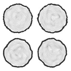 Set vector tree rings background and saw cut trunk