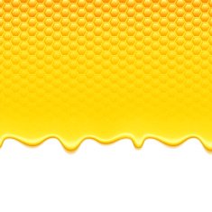 Yellow pattern with honeycomb and honey drips