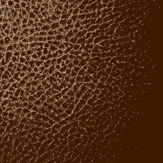 leather texture background N8