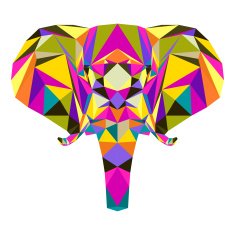 Abstract bright colored polygonal triangle geometric elephant isolated on white N2