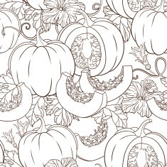 Vector botanical pattern with isolated pumpkins flowers and leaves N5