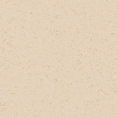 Paper N23