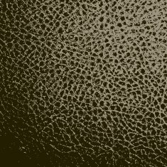 leather texture background N9