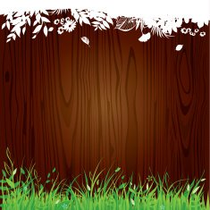 Green grass on wooden background N2