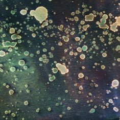 Hand painted trippy watercolor and ink textured background
