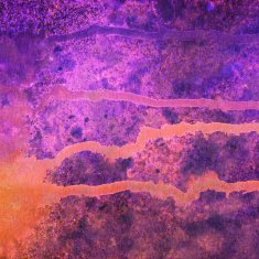 Colorful bright fluorescent orange and purple splatters of paint