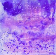 Hues of purple pink hand painted with watercolor and ink