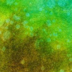 Hand painted background with texture of earth tone colors