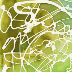 White squiggle lines on green watercolor background N2