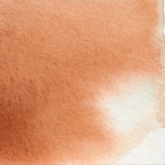 Beige watercolor texture on paper N2