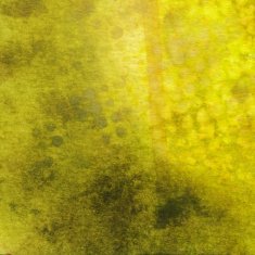 Distressed background with subtle texture and grunge