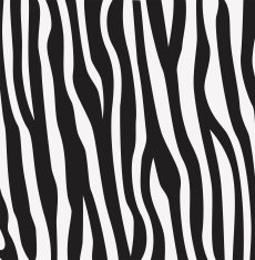 vector abstract skin texture of zebra