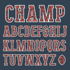 Serif font in college style N2