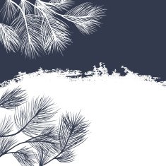 Conifer branches background N2