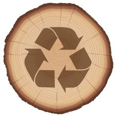 Wood Recycling Symbol Tree Trunk N2