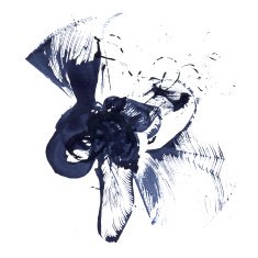 Ink blotch N4