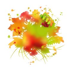 Watercolor autumn foliage vector