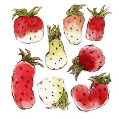 Strawberries Set N2