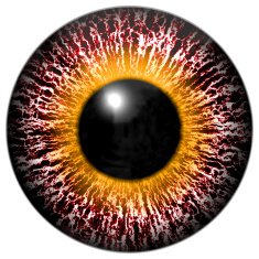 Bloody pink-eye of alien with yellow ring around the pupil N2