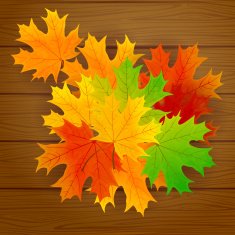 Maple leaves on wooden background N2