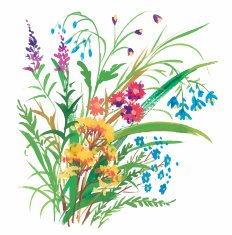 Watercolor flowers in classical style on a white background N5