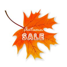 Autumn sale on maple leaf N2