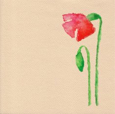 Vector watercolor poppy flower