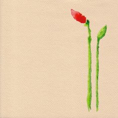 Vector watercolor poppy flower N3