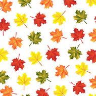 texture autumn maple leaves N2