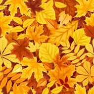Seamless pattern with autumn colorful leaves Vector illustration N2