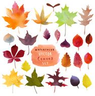 Watercolor set of beautiful colourful autumn leaves