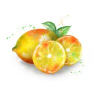 Vector watercolor lemon
