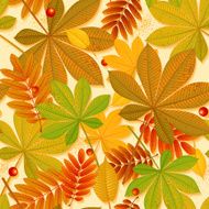 Autumn Background N176
