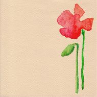 Vector watercolor poppy flower N4