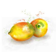 Vector watercolor lemon N2