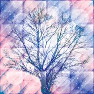 Winter Sale N32