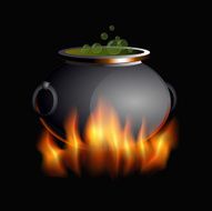burning boiler N2