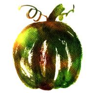 Green pumpkin illustration