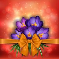 Purple crocus flowers with golden bow