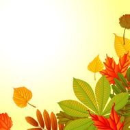 Autumn Background N181