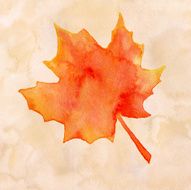 Watercolor maple leaf